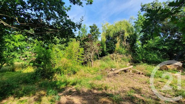 Afficher la photo en grand terrain à vendre - 1500.0 m2 - ST RUSTICE - 31 - MIDI-PYRENEES - Century 21 Tls Nord